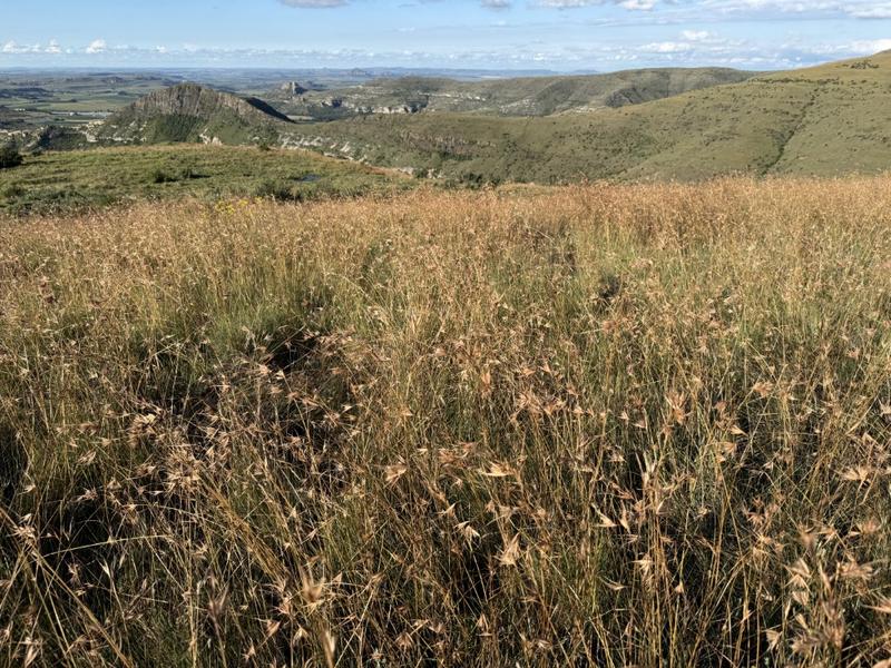 0 Bedroom Property for Sale in Fouriesburg Free State